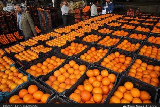 ناهماهنگی ستاد تنظیم بازار/توزیع میوه شب عید از نیمه اسفند