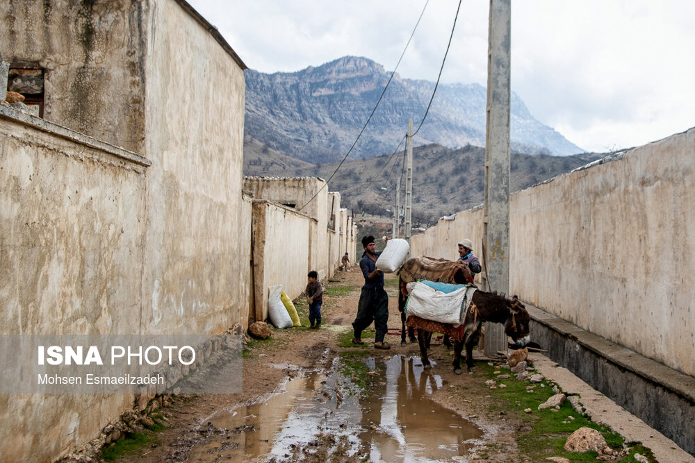 این شهرک در سال ۱۳۸۹ در روستای تاچل علیشیر در منطقه شاهزاده عبدالله شهرستان اندیکا ساخته شده و ساکنان آن مددجویان تحت پوشش کمیته امداد شهرستان اندیکا هستند.