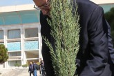 تصاویر / دیدار علی لاریجانی با محمد الحلبوسی رئیس مجلس عراق و کاشت درخت در مجلس