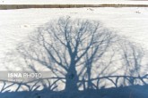 یک خبر خوش برای منابع آب ایران یک خبر خوش برای منابع آب ایران
