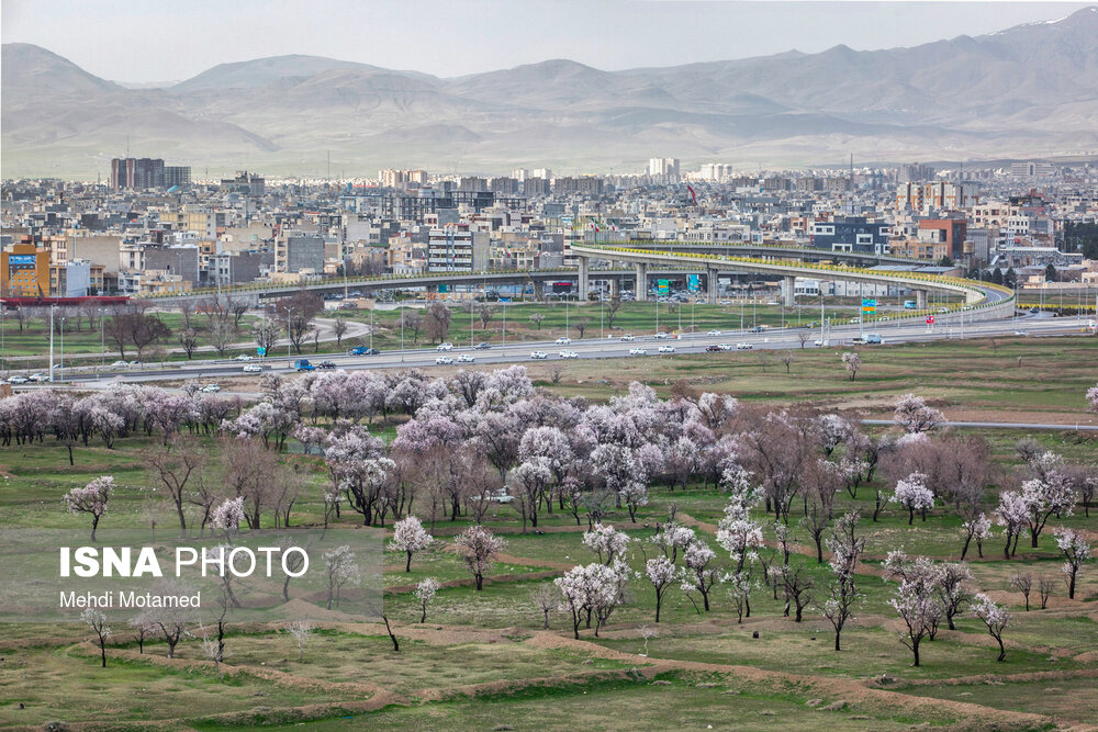 آخرین نفس‌های باغستان هزارساله قزوین در سراشیبی توسعه