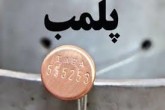 پلمب 2 رستوران  و امحاء ۶۰ کیلو مرغ  و گوشت فاسد در استان مرکزی