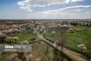 هشدار مدیرکل مدیریت بحران استان قزوین:
58 روستای قزوین در معرض سیل قرار دارند