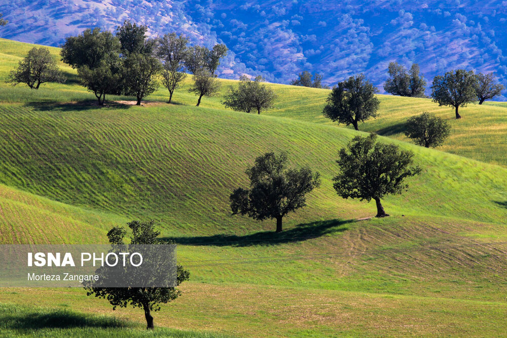 طبیعت شهرستان دهدز - خوزستان