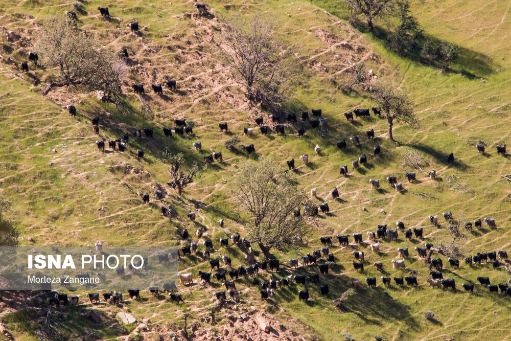 طبیعت شهرستان دهدز - خوزستان