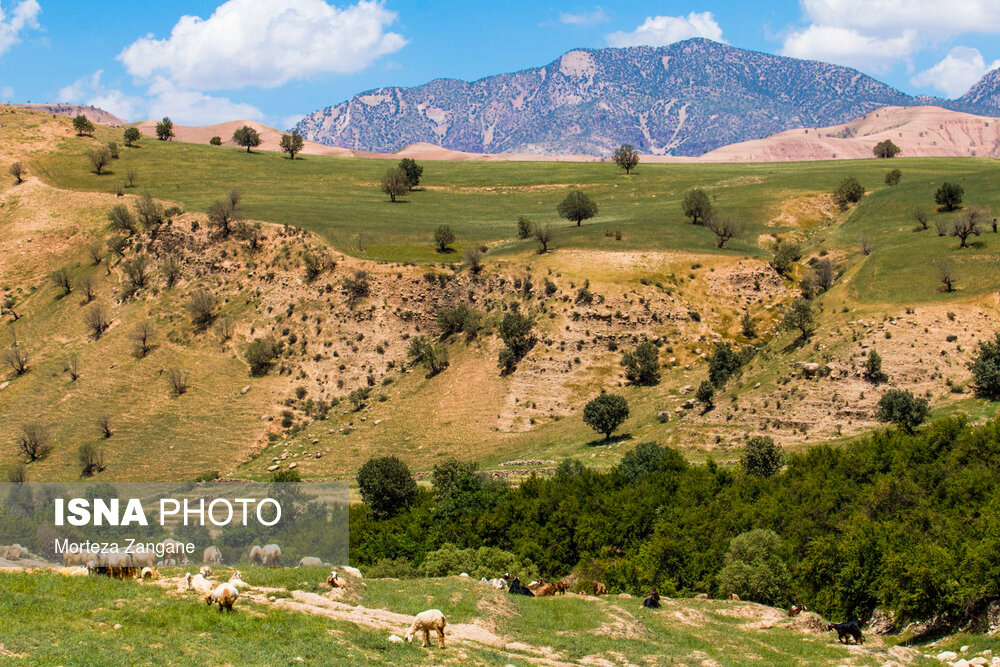 طبیعت شهرستان دهدز - خوزستان