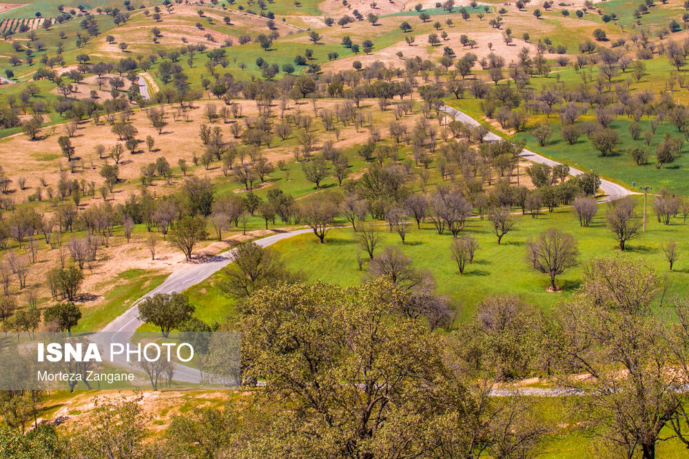 طبیعت شهرستان دهدز - خوزستان