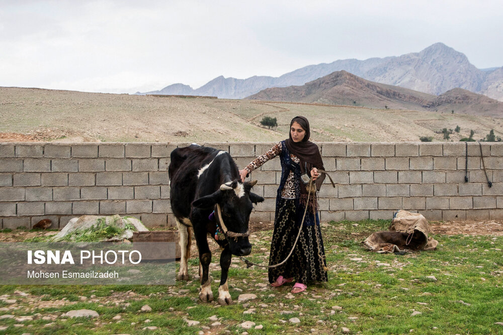 فاطمه 15 ساله ساکن روستای انبار سفید در شهرستان لالی است. او تا کلاس ششم درس خوانده است. نزدیک‌ترین مدرسه در مقطع متوسطه اول (راهنمایی) در روستای تراز، در 2 کیلومتری آن‌ها، واقع شده است. از آن‌جایی که کلاس‌های این مدارس در مقطع متوسطه اول به صورت مختلط  برگزار می‌شود، خانواده‌ها مانع ادامه تحصیل این دانش‌آموزان می‌شوند. حدود 8 دختر در این روستا به همین دلیل ترک تحصیل کرده‌اند.