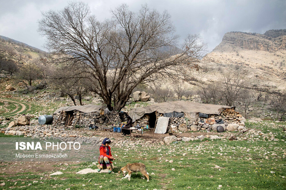 آمنه 8 ساله و اهل روستای دمه در شهرستان اندیکا است. او به مانند برادر پانزده ساله‌اش جمعه به مدرسه  نرفته است.  فقر مالی خانواده  و دور بودن مدرسه عامل بازماندگی از تحصیل آمنه است.