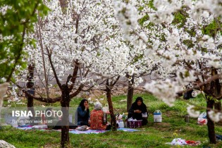 هزینه خوراکی‌های سیزده‌ بدر چقدر است؟