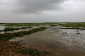 سیل در دهستان شعیبیه ـ شوشتر