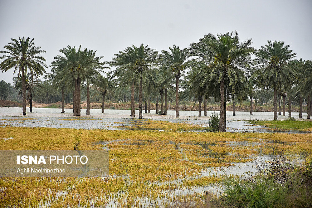 سیل در شرق و غرب رود کارون