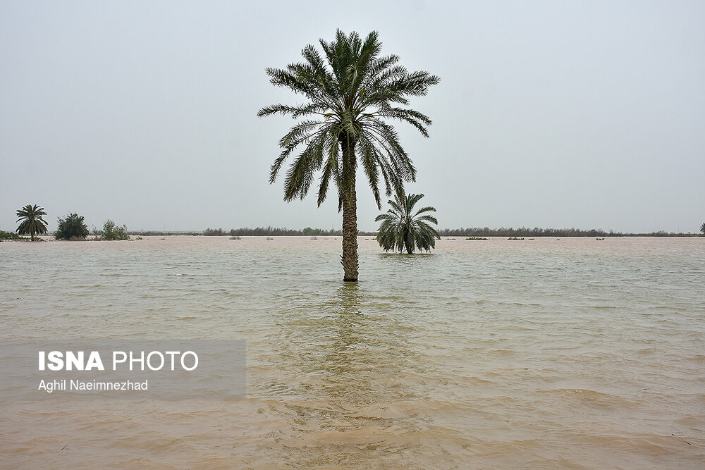 سیل در شرق و غرب رود کارون