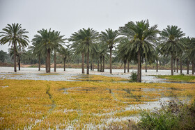 سیل در شرق و غرب رود کارون