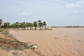 سیل در شرق و غرب رود کارون