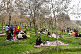 روز طبیعت در بوستان های ملت و وکیل آباد مشهد
