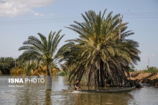 خسارت سیل به 6000 هکتار از باغ‌ها و مزارع سمنان