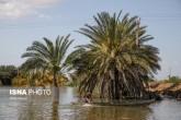 خسارت سیل به 6000 هکتار از باغ‌ها و مزارع سمنان