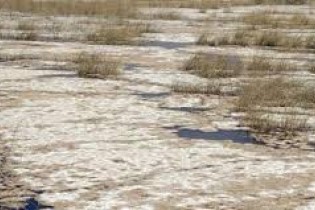 فیلم/ چه کسی تالاب هورالعظیم را خشکاند؟