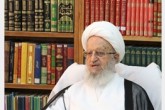 آیت‌الله مکارم: اگر مسئله فضای مجازی حل نشود آینده تاریک خواهد بود