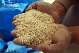 سیل برنج را گران نکرد، دلالی گران کرد