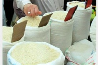 مسئولان دولتی و خصوصی:کمبود برنج نداریم