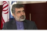 سخنگوی سازمان انرژی اتمی: روسیه تحریم نیروگاه بوشهر را اجرا نمی‌کند