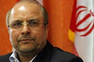 وارد میدان انتخابات شوید
