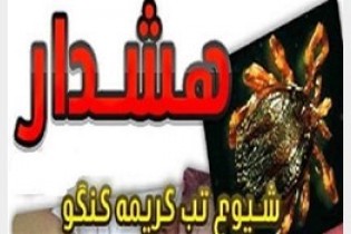 هشدار درباره موج جدید »تب کریمه کنگو« /از مراکز مجاز گوشت بخرید