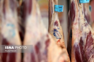 دپو گوشت قرمز در بنادر صحت ندارد