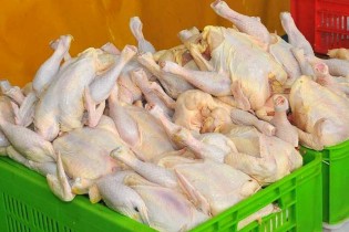 جریمه 400 میلیونی برای گرانفروشان مرغ