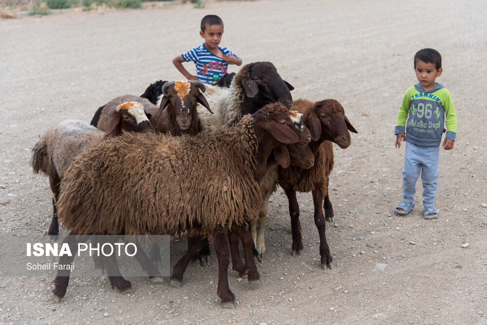 عید قربان در روستای «کهلا»