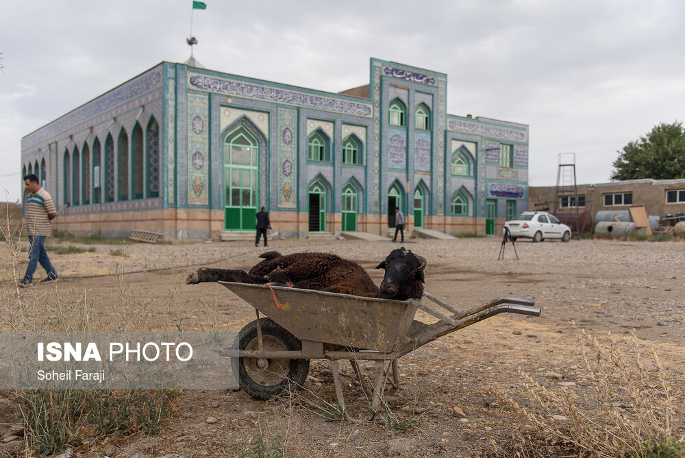 عید قربان در روستای «کهلا»