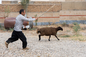 عید قربان در روستای «کهلا»