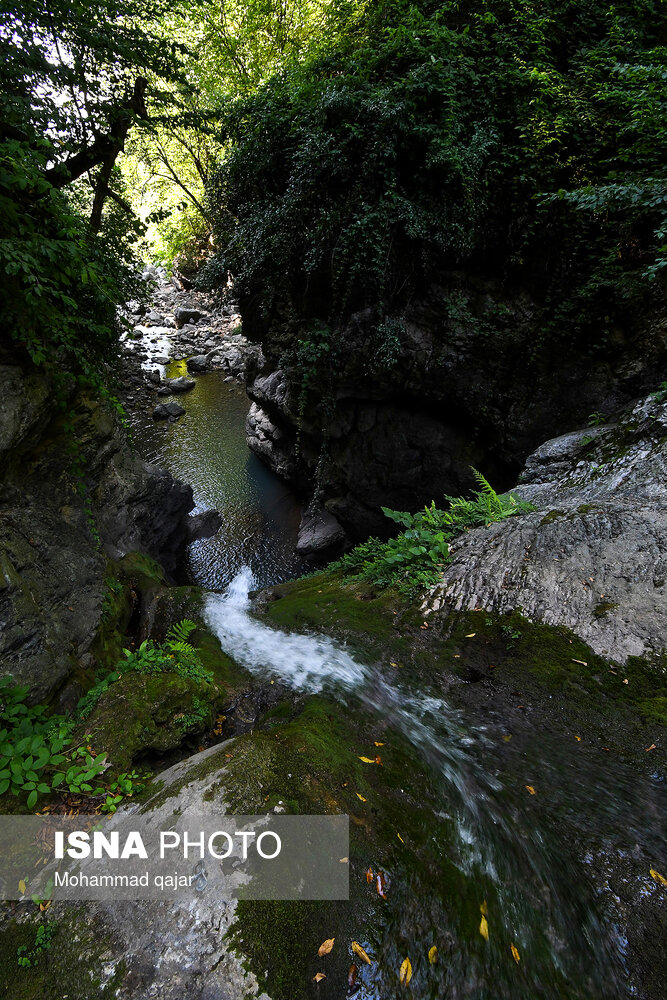 ایران زیباست؛ آبشار شیر آباد در استان گلستان