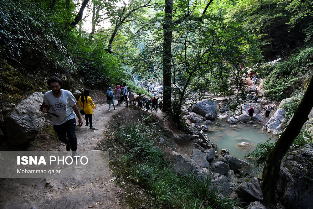 ایران زیباست؛ آبشار شیر آباد در استان گلستان