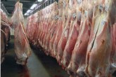 دام سنگین خریدار ندارد/ قیمت ها کاهشی است