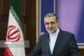 توضیحات سخنگوی قوه قضاییه درباره شیوه بازداشت رسول دانیال‌زاده