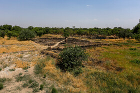 باغستان قزوین