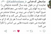 واکنش کدخدایی به اظهارات اخیر یک نماینده مجلس