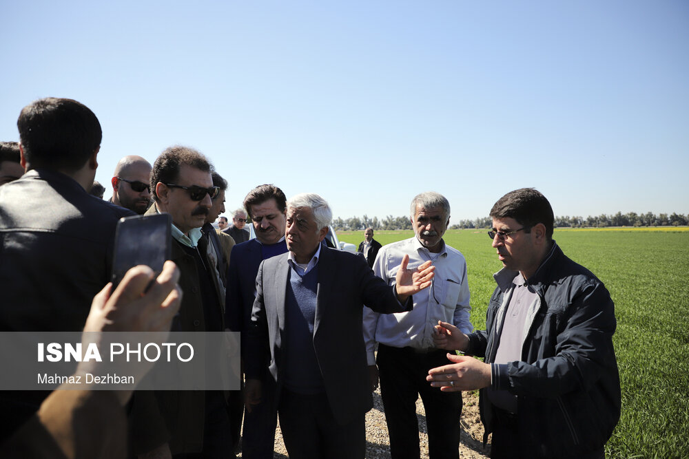 بازدید سرپرست وزارت جهاد کشاورزی از طرح های کشاورزی شوش