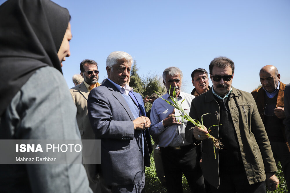 بازدید سرپرست وزارت جهاد کشاورزی از طرح های کشاورزی شوش