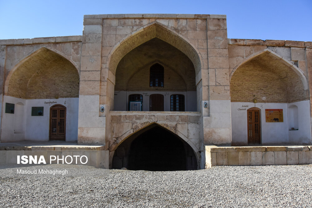 در پشت ساختمان‌های درون حياط، به صورت غلام گردشی و مکانی برای خواب و پخت و پز و طويله های بزرگی برای چار پايان دیده می شود.