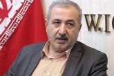 دولت نقشی در تنظیم بازار ندارد/ قیمت‌ها کاملا رها شده است