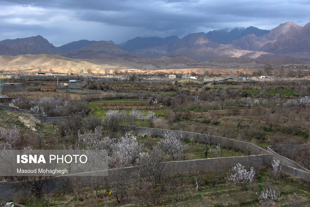 طبیعت زیبای بهاری درجزین