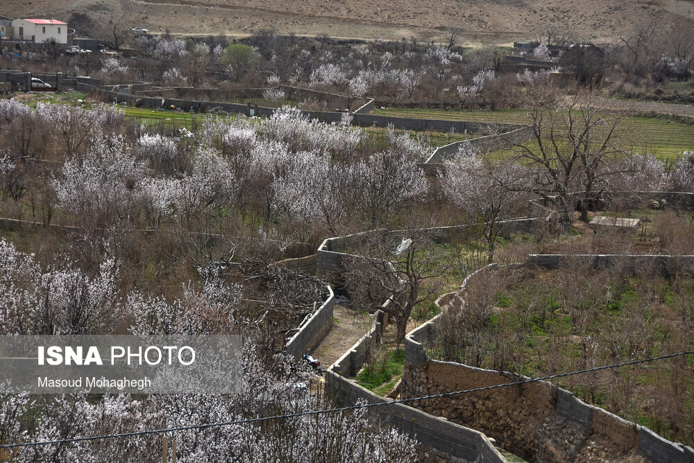 طبیعت زیبای بهاری درجزین