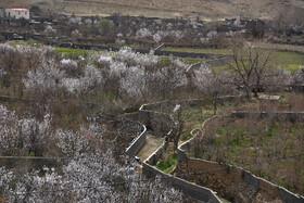 طبیعت زیبای بهاری درجزین