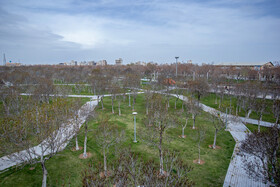 بوستان شهدای گمنام که یکی از مناطق هدف مردم برای روز طبیعت بود پس از اجرای طرح ممنوعیت تجمع در پارک‌ها، خالی از جمعیت شده‌ است