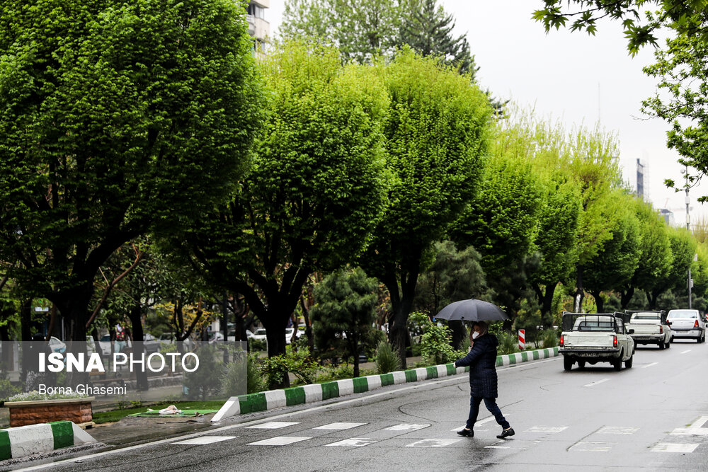 بارش باران بهاری در تهران