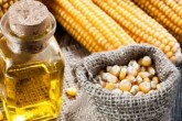 دو میلیون و ۴۸۰ هزار تن ذرت در گمرکات کشور
